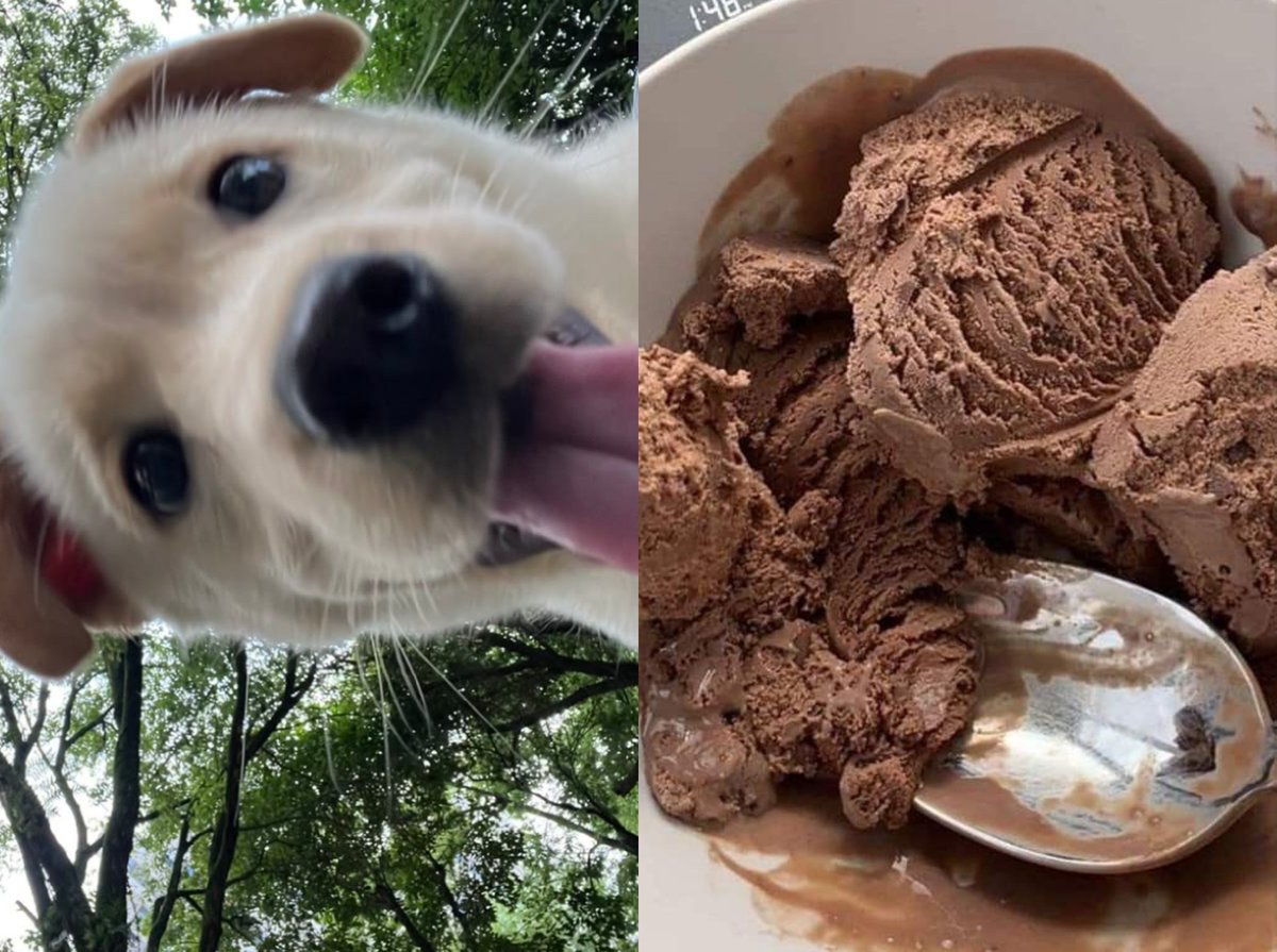 vampinox's tweet photo. 6 thing i like and 6 ppl who should do this!

enshot 
burgundy
designing 
aouad 
labrador
chocolate ice cream 

@Ie_spammm
@sunnieshine24
@ennfliesz_jay
@Stay1563
@leahofgoodlife
@athenainlove https://t.co/h5zUHp0rct