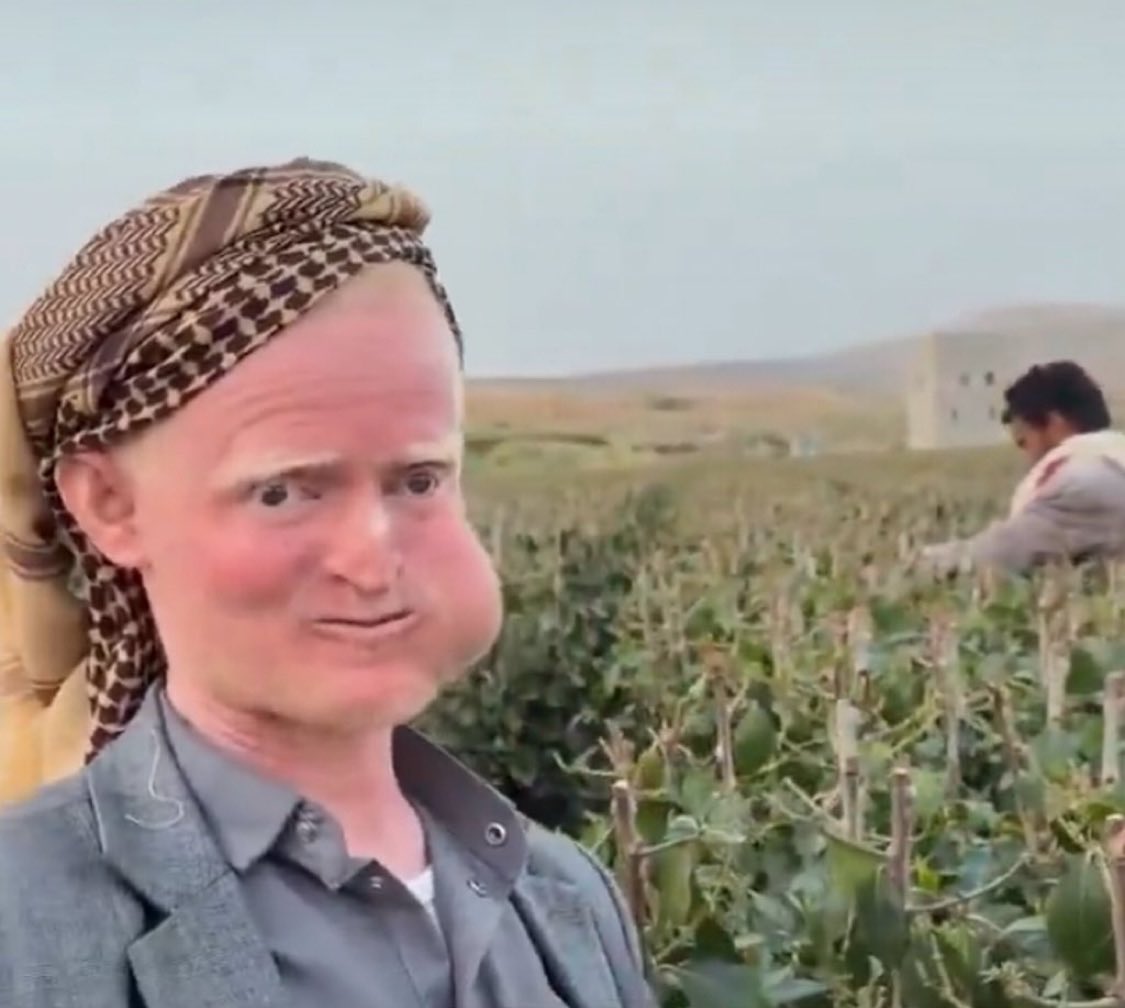 ArthurBoreman's tweet photo. “Agent O’Houlihan, fantastic work. You scored the highest on the Arabic exam, so we’re sending you to Yemen.  You’re going in deep undercover as a farmhand.  The one thing you absolutely cannot do is become addicted to khat.” https://t.co/gjnCkUTaFT