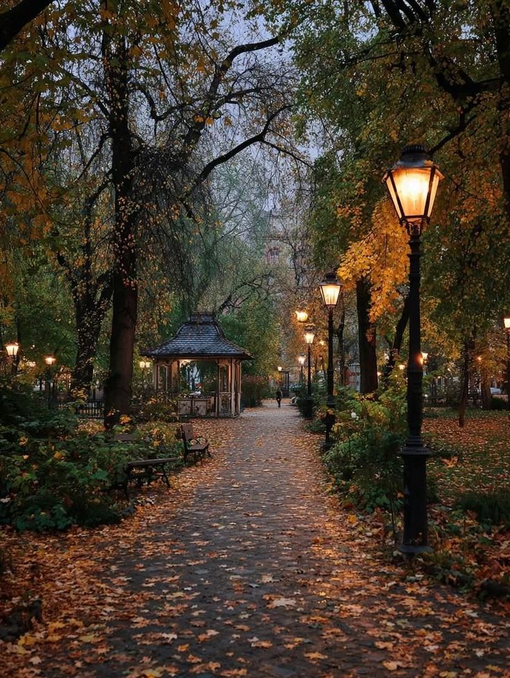greenvibe's tweet photo. Fallen autumn leaves cover the sidewalk and the edge of the quiet street. https://t.co/CAtLg6XkKD
