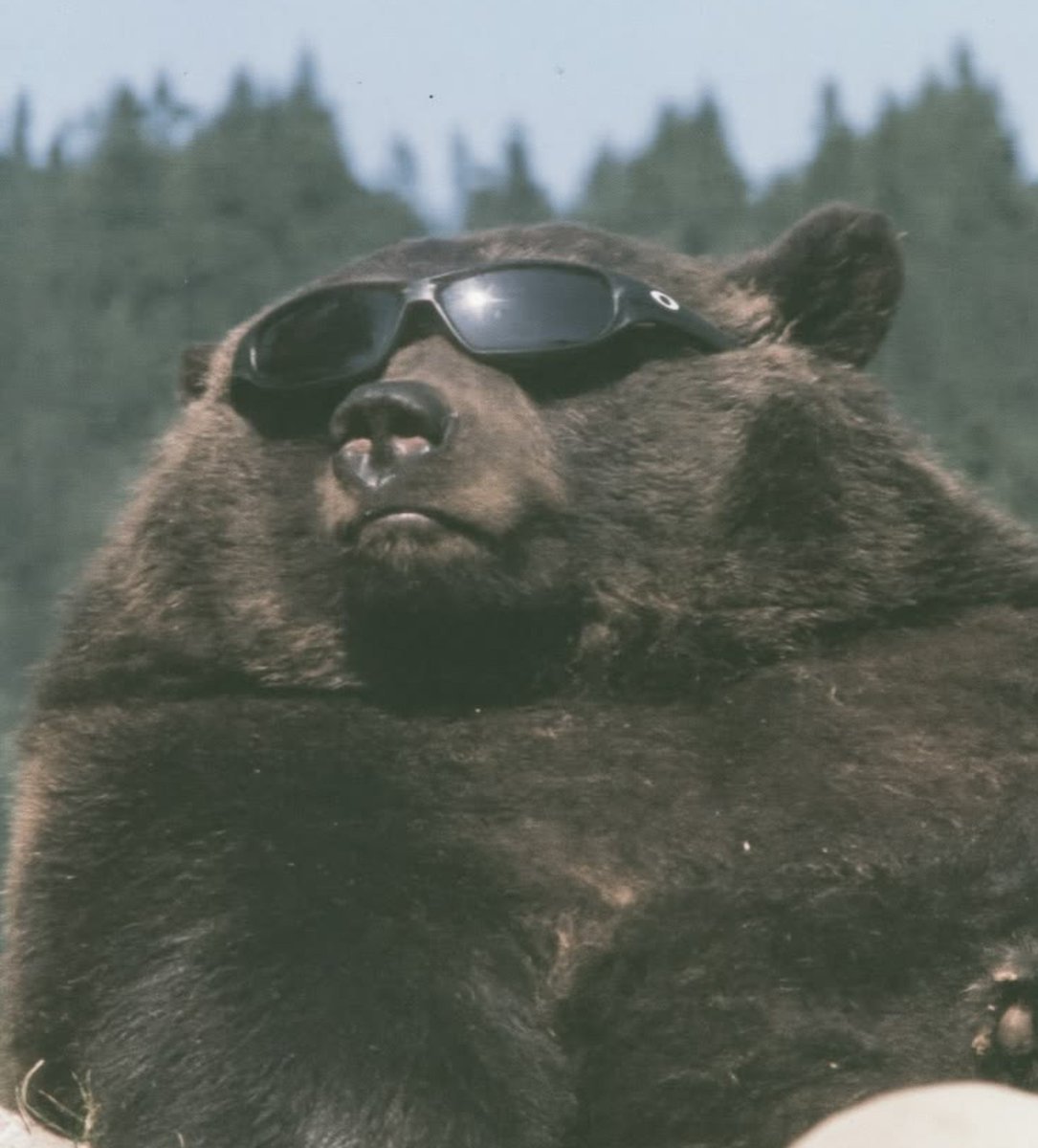 NatureLover_502's tweet photo. glasses swag https://t.co/QqWNP4mpFl