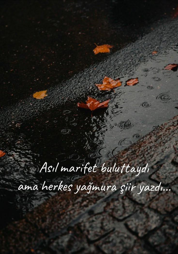 aycan_____'s tweet photo. https://t.co/8We8izN6bI