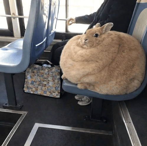 AdrianLive01's tweet photo. Someone took a photo of me at the bus https://t.co/a8AtkvjIGB