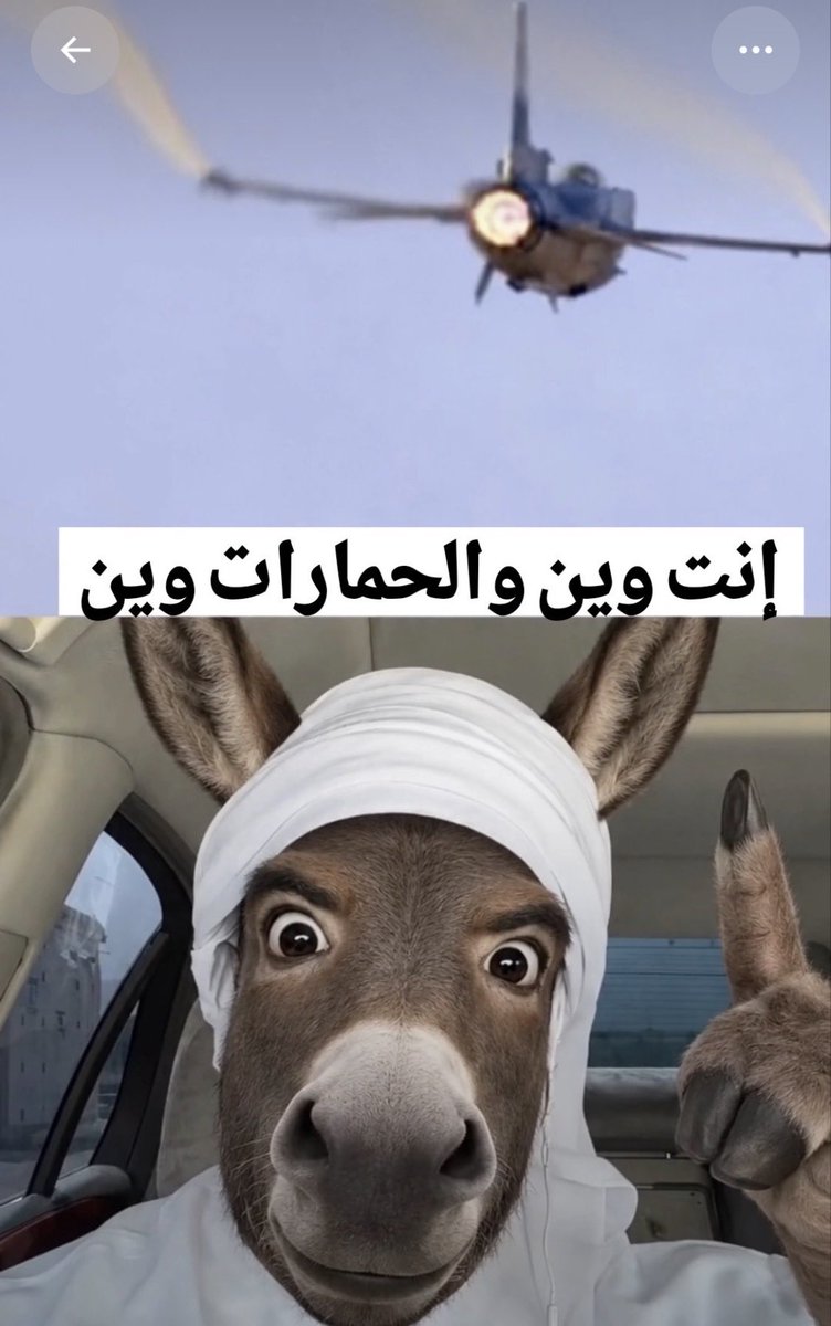 BeBe184123's tweet photo. @Abdulkhaleq_UAE https://t.co/vb2zNaPrzq