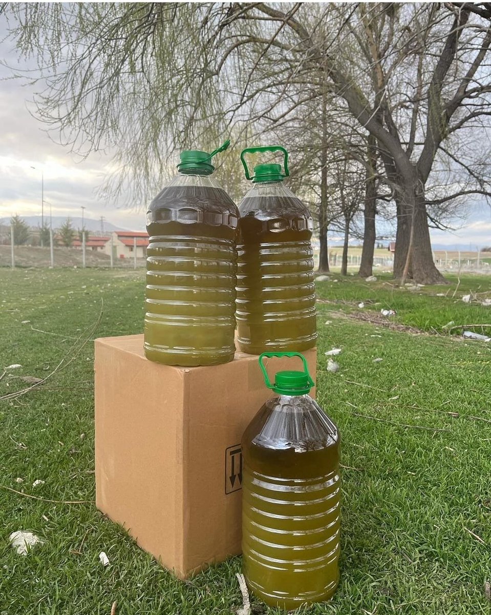 akincisemerkand's tweet photo. Selamünaleyküm

Beni bilenler bilir 2 yıldır zeytinyağı satıyorum ve elhamdülillah sattıklarımdan %98 gibi bir memnuniyet oranı var. Zeytinyağı almak isteyenler DM'den ulaşabilir.

5, 10, 15, 20 litre olarak istediğiniz kadar alabilirsiniz, yardımcı oluruz biiznillah.

Tweete destek verirseniz memnun olurum.

Not :Fotoğraf için petlerde normalde teneke de gönderim sağlanmakta.

Not 2 : Kapınıza kadar gönderiyoruz. Kargo bize ait, gönderici ödemeli.