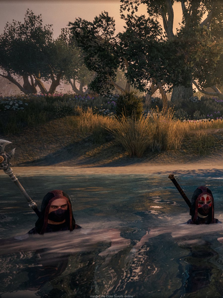 RinRige's tweet photo. The Dark Brotherhood, in reality

#eso #teso #theelderscrolls #elderscrolls https://t.co/LlEhl8PONL