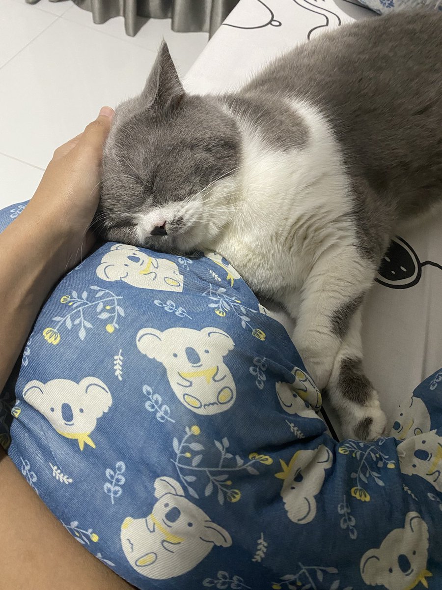 vikiryans_'s tweet photo. Wen jgn sakit dong wen, sedih banget liat uwen sakit. Cepet sembuh my boy🫶🏻 https://t.co/QVUuFihYRw