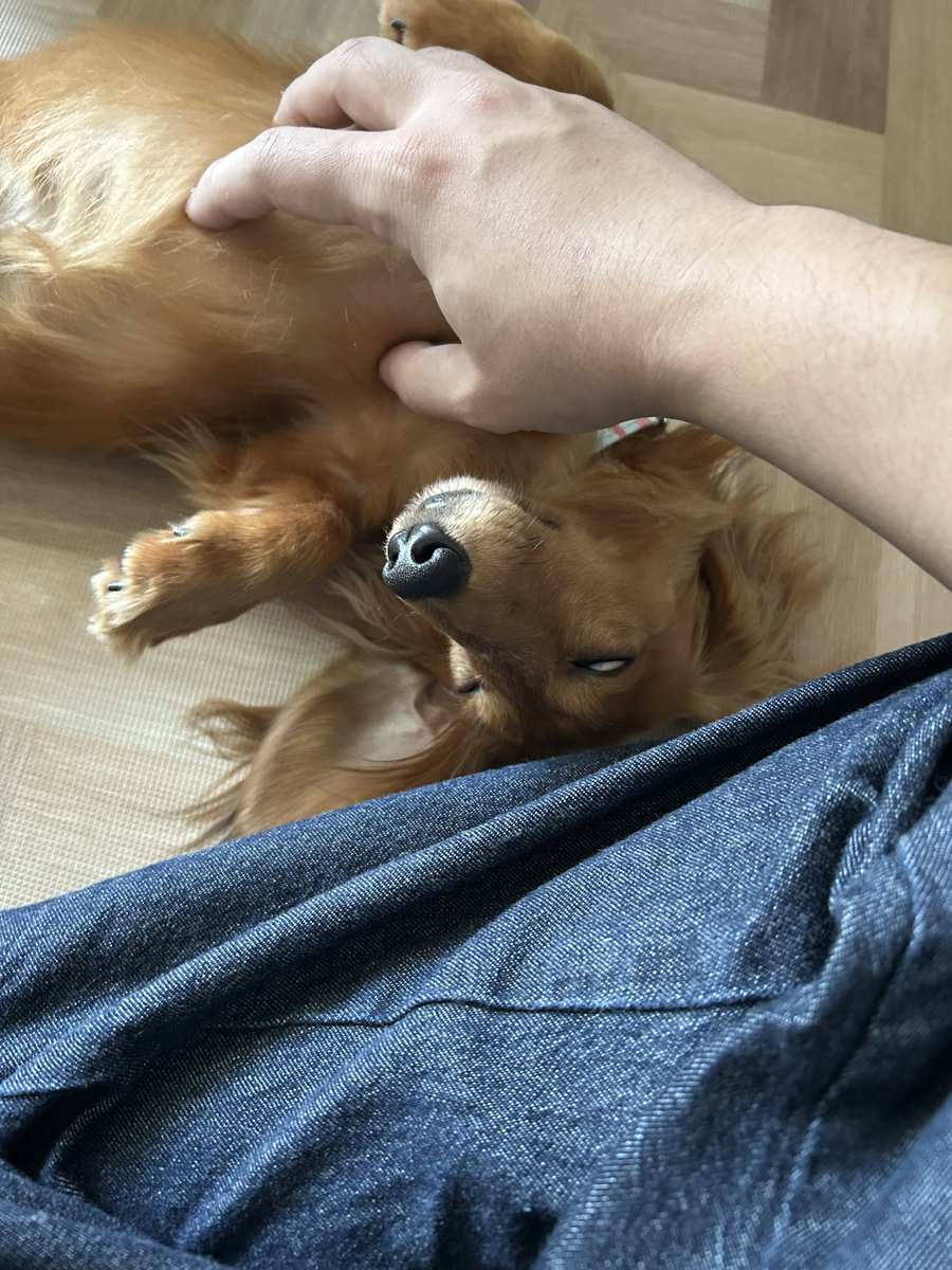 Odango_alien_'s tweet photo. 逝ってしまってる顔🤣 https://t.co/qcafVbD873