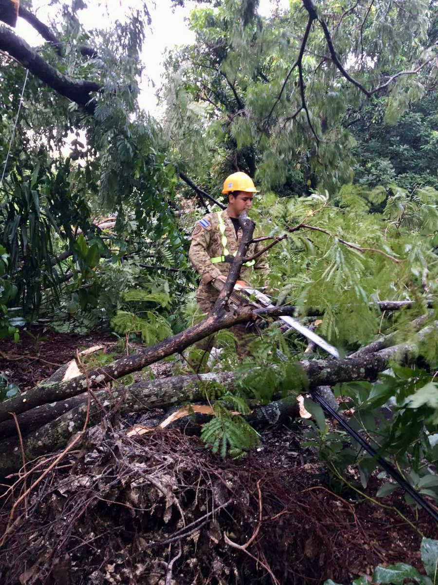 FUERZARMADASV's tweet photo. 11 de nuestros elementos realizaron labores para retirar un árbol de gran tamaño que obstruía el paso vehicular, en la calle principal de la colonia Aldea Bolaños, Candelaria de la Frontera, Santa Ana Oeste. https://t.co/G1JMEPacDa