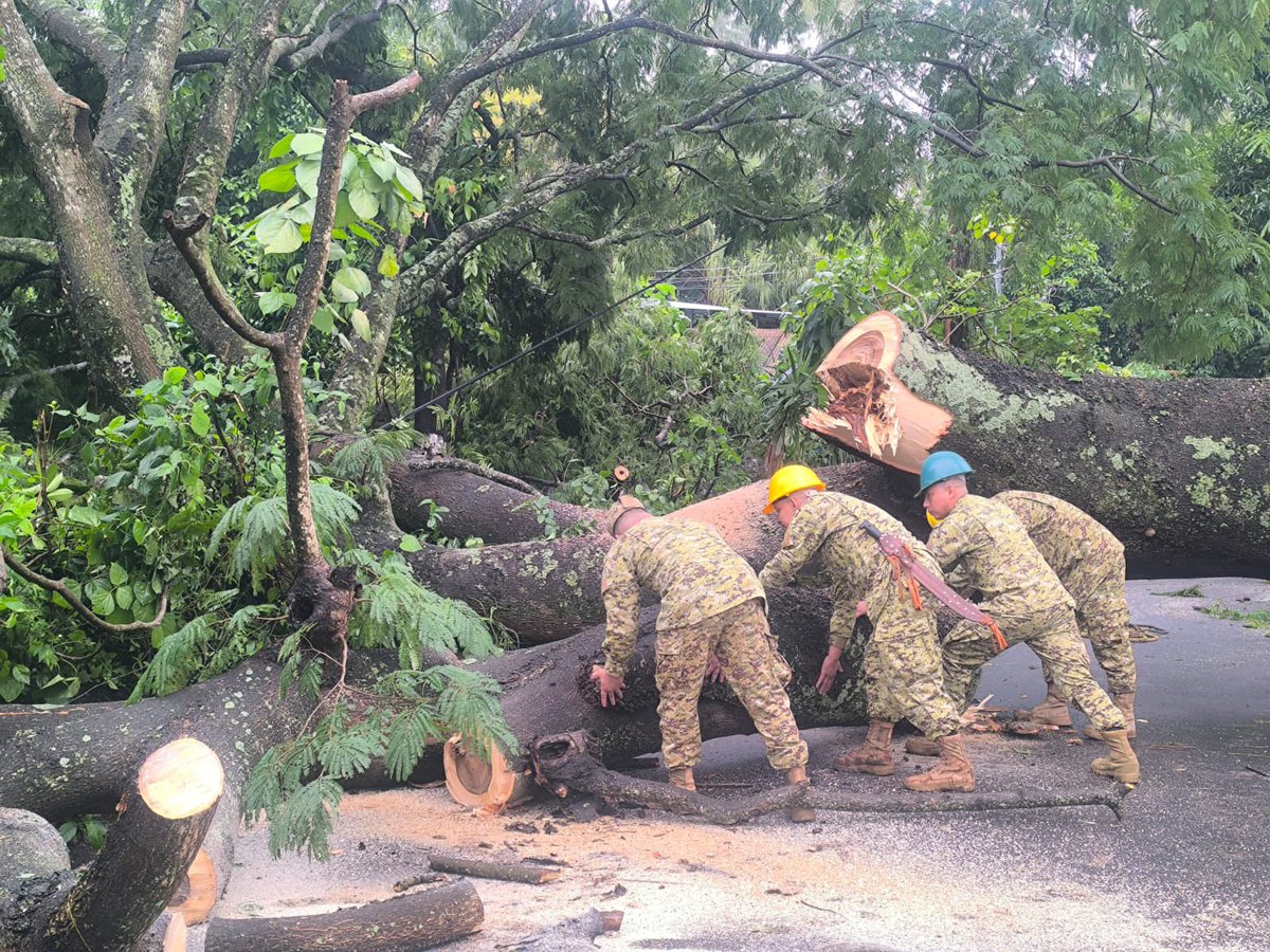 FUERZARMADASV's tweet photo. 11 de nuestros elementos realizaron labores para retirar un árbol de gran tamaño que obstruía el paso vehicular, en la calle principal de la colonia Aldea Bolaños, Candelaria de la Frontera, Santa Ana Oeste. https://t.co/G1JMEPacDa