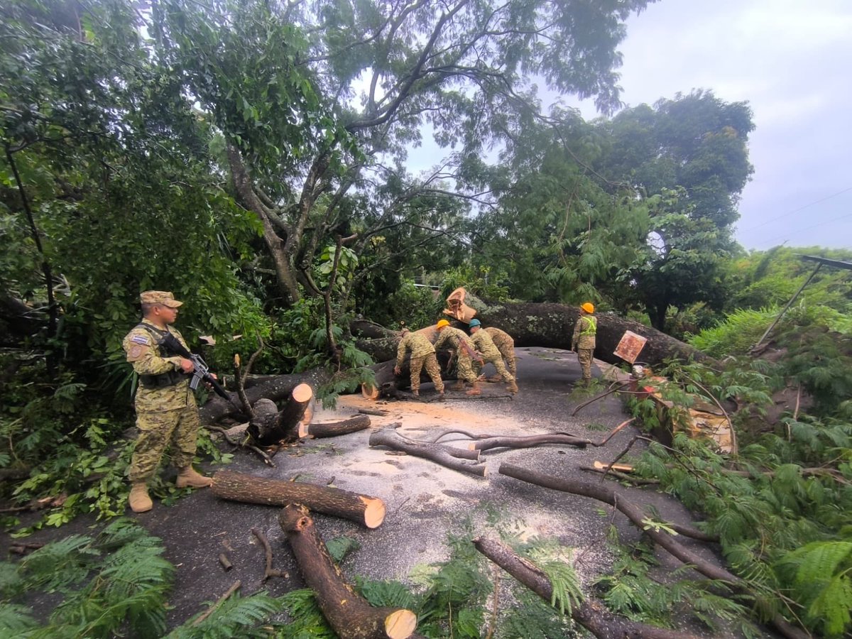 FUERZARMADASV's tweet photo. 11 de nuestros elementos realizaron labores para retirar un árbol de gran tamaño que obstruía el paso vehicular, en la calle principal de la colonia Aldea Bolaños, Candelaria de la Frontera, Santa Ana Oeste. https://t.co/G1JMEPacDa