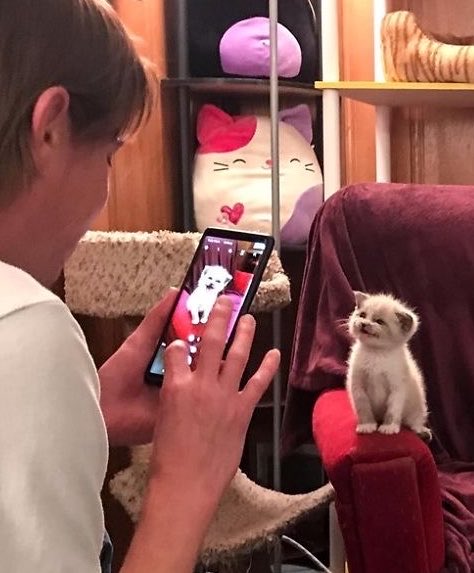 ninesite's tweet photo. i see no difference https://t.co/zoTdtIfjL1