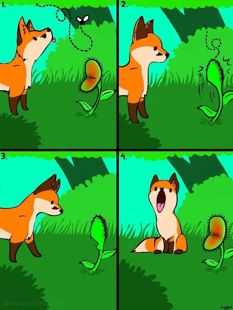 F0xXWild's tweet photo. A stupid Fix 🦊 https://t.co/9MiBcTm7rJ