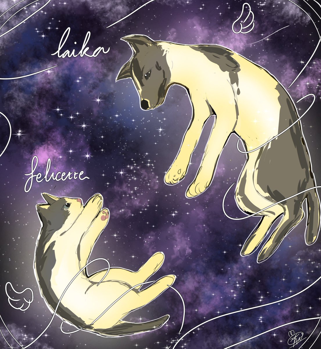 Ya7761's tweet photo. Laika and Félicette
#astrocat #Laika #Félicette #artistonx #artmoots https://t.co/W0ROYNg07c