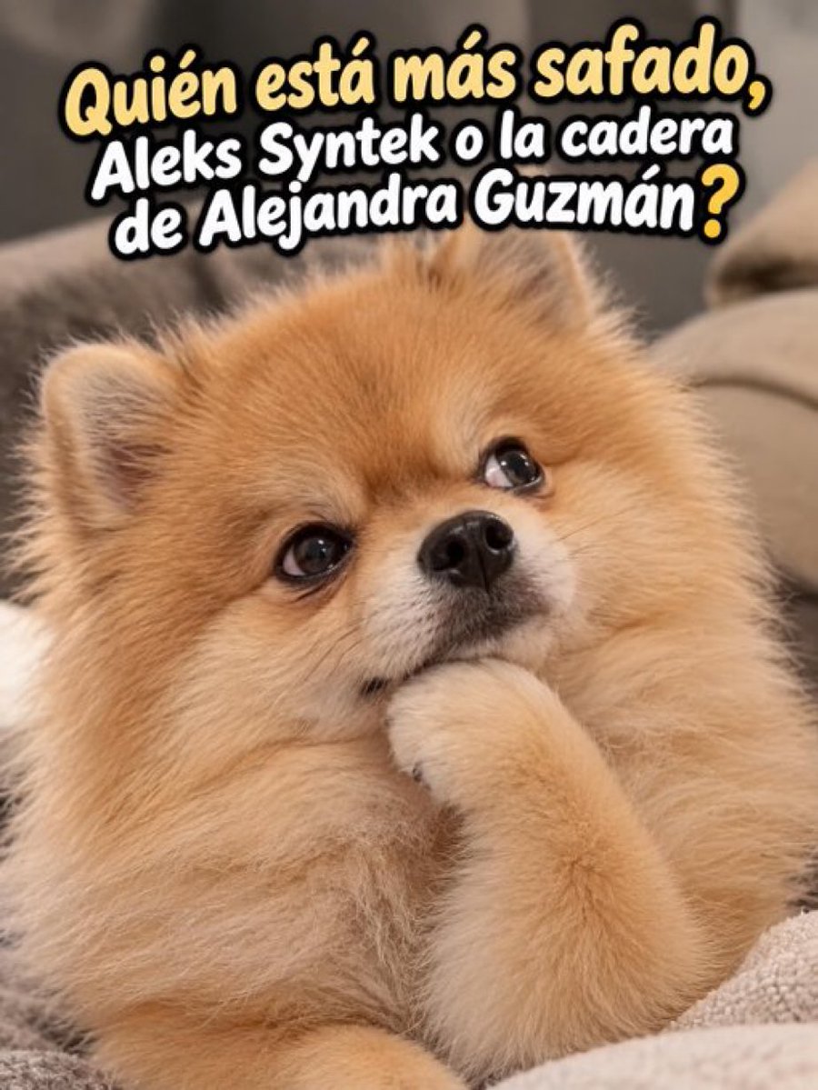 Alfred0284's tweet photo. Aveces me pregunto lo mismo 😄😄😄 https://t.co/m7OaImTIbl