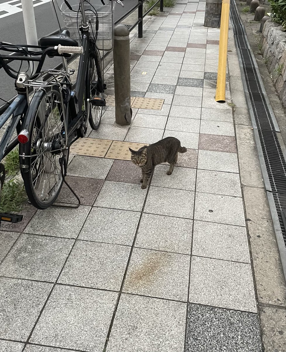 nanba_rui's tweet photo. かわいいねぇあなた https://t.co/wQz09tHJYX