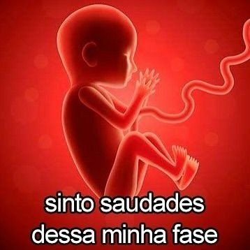 humanidadefoi's tweet photo. https://t.co/s5Rtd2nmPK