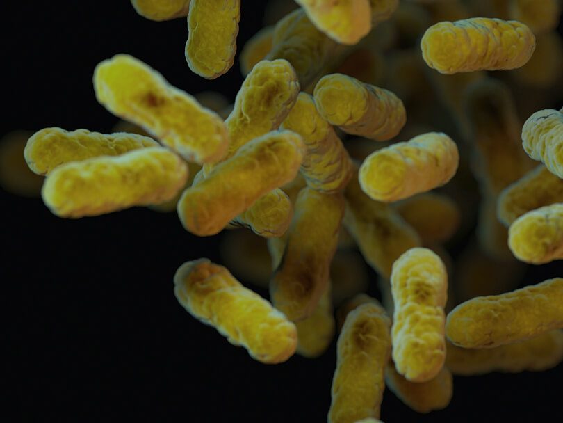 AppEnvMicro's tweet photo. New #minireview in #AppEnvMicro: Current evidence indicates that A. baumannii is not exclusively a hospital pathogen - we must move beyond fragmented approaches &amp; systematically integrate data within a truly #OneHealth framework 🦠♻️ (@UNAM_MX)

✨ https://t.co/uP3Pk6fLJF https://t.co/skjLEZEKi7