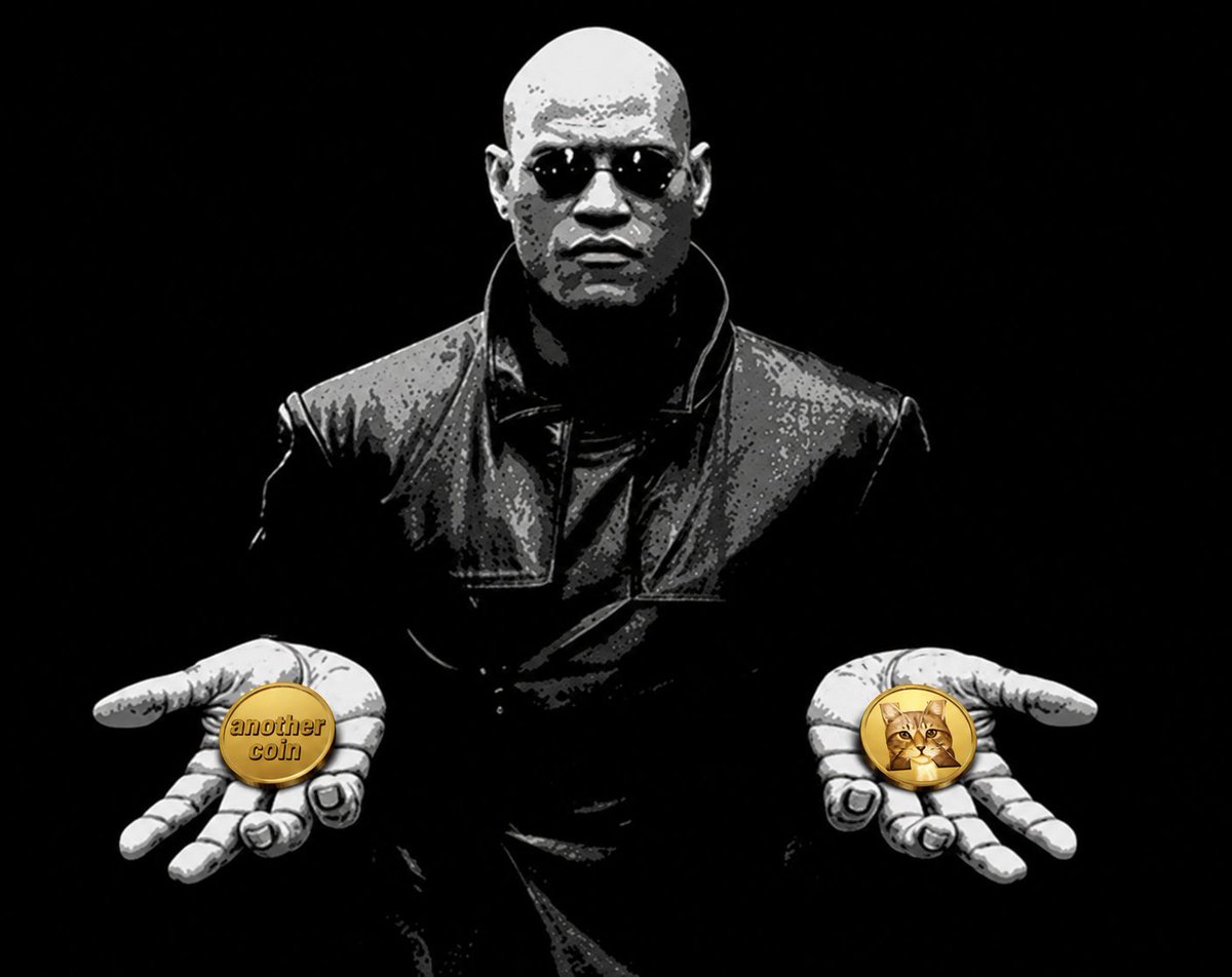 itskitty_coin's tweet photo. Choose Wisely. No Pressure. https://t.co/huL38LwrUq