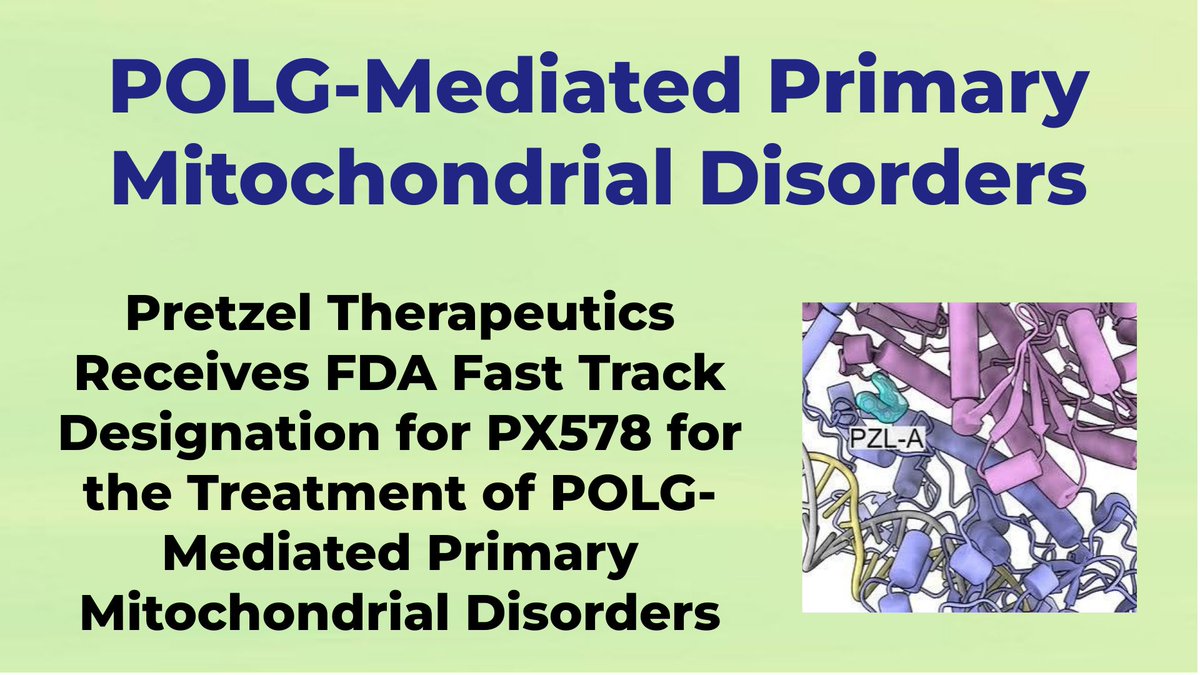 CheckOrphan's tweet photo. Pretzel Therapeutics Receives FDA Fast Track Designation for PX578 for the Treatment of POLG-Mediated Primary Mitochondrial Disorders - For More Information Visit  https://t.co/eW5aG6pRHt  #Rare_Diseases  #FDA  #POLG_Disease  #Pretzel_Therapeutics  #Orphan_Drugs https://t.co/4xrS0wmme9