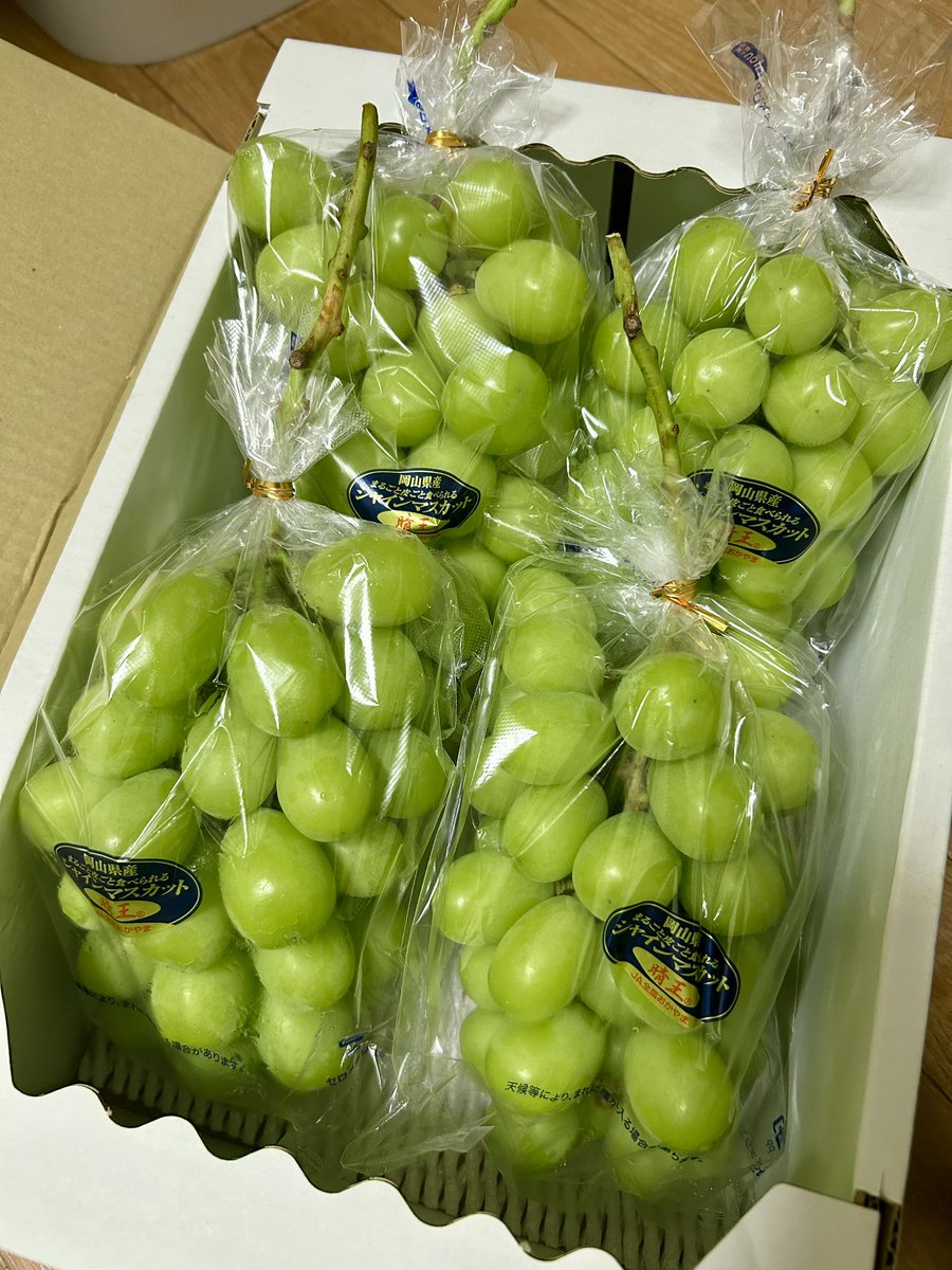 achiyo's tweet photo. 岡山の親戚からめちゃめちゃ立派なシャインマスカット届いた。昨年もいただいたんだけど、今までの人生で食べた事ないぐらい美味しい💕お返しの品が思い浮かばな過ぎて、怖い〜😱 https://t.co/6nXdEJnMsm