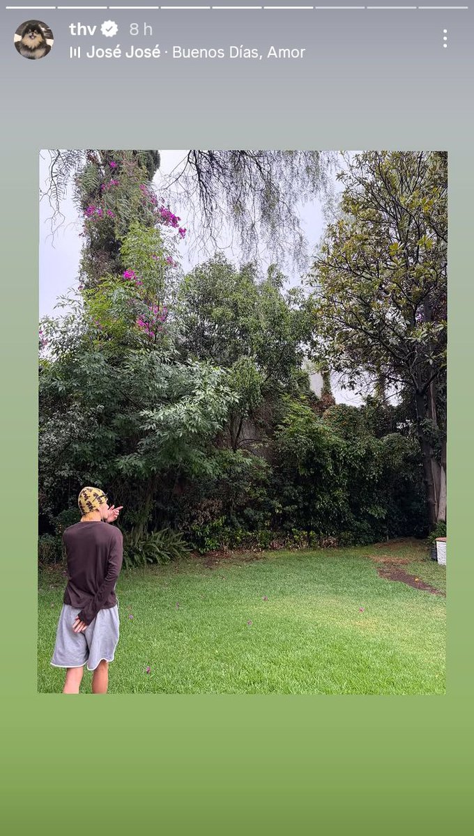 lovelyntaehyung's tweet photo. Recordatorio de que Taehyung ha compartido en sus historias a artistas en español como Natalia Lafourcade, José José, Luis Miguel y Los Panchos, sin olvidar el icónico video con la canción del Ratón Vaquero de fondo que subió el 10 de mayo. El es un latino más entre nosotros 😌 https://t.co/w1enUdc097