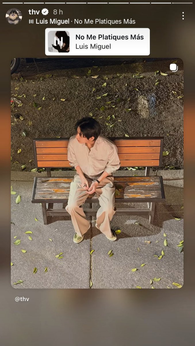 lovelyntaehyung's tweet photo. Recordatorio de que Taehyung ha compartido en sus historias a artistas en español como Natalia Lafourcade, José José, Luis Miguel y Los Panchos, sin olvidar el icónico video con la canción del Ratón Vaquero de fondo que subió el 10 de mayo. El es un latino más entre nosotros 😌 https://t.co/w1enUdc097