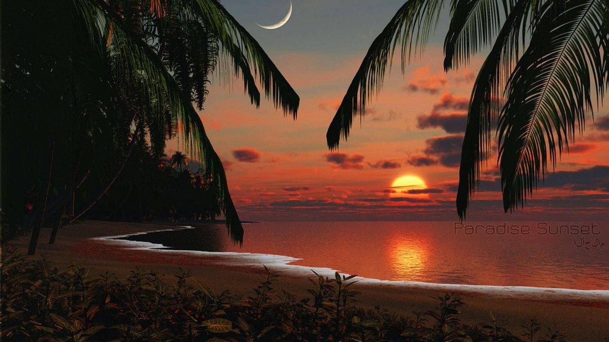 411ethoncr's tweet photo. Reply to unavailable post Good night beautiful https://t.co/RdB8FTxQ86
