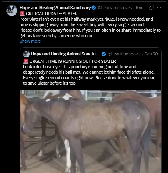 HamsterTamer90's tweet photo. They post all kinds of dying animals who need money, just send their profile.

https://t.co/ZeP08xb7Fj https://t.co/En5ADd2s0G