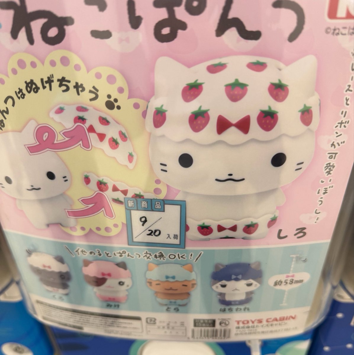 ediuzq's tweet photo. パンツ集め https://t.co/ul2jL0j5N1