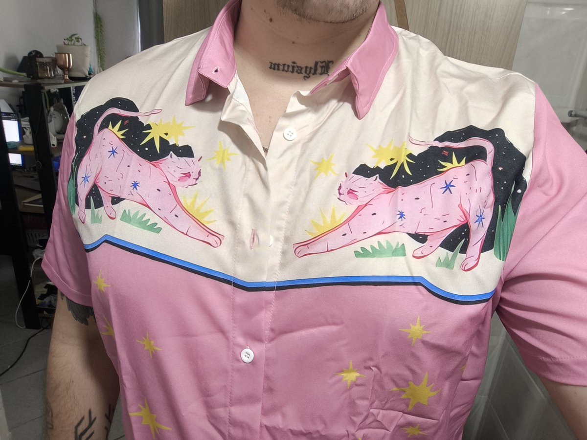 _sanitaurus's tweet photo. Bingus shirt 1 acquired https://t.co/hdv437gK8U
