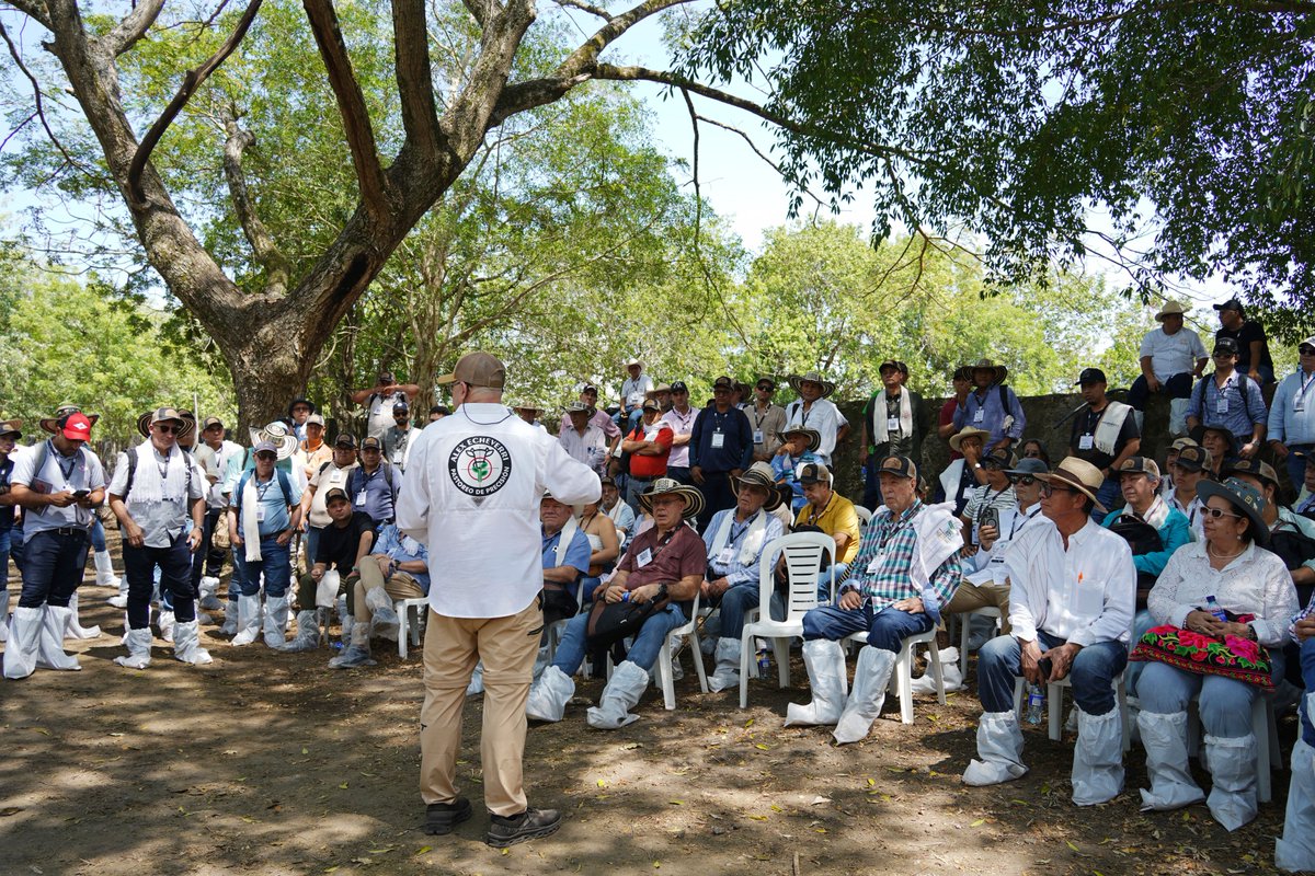 jflafaurie's tweet photo. Son dos décadas de giras ganaderas conociendo las mejores prácticas en producción de leche, carne, genética, sostenibilidad y nuevas tecnologías.

@Fedegan https://t.co/uxZuSQ6RwP
