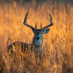 Photo by Congressional Sportsmen's Foundation (@HunterandAngler)