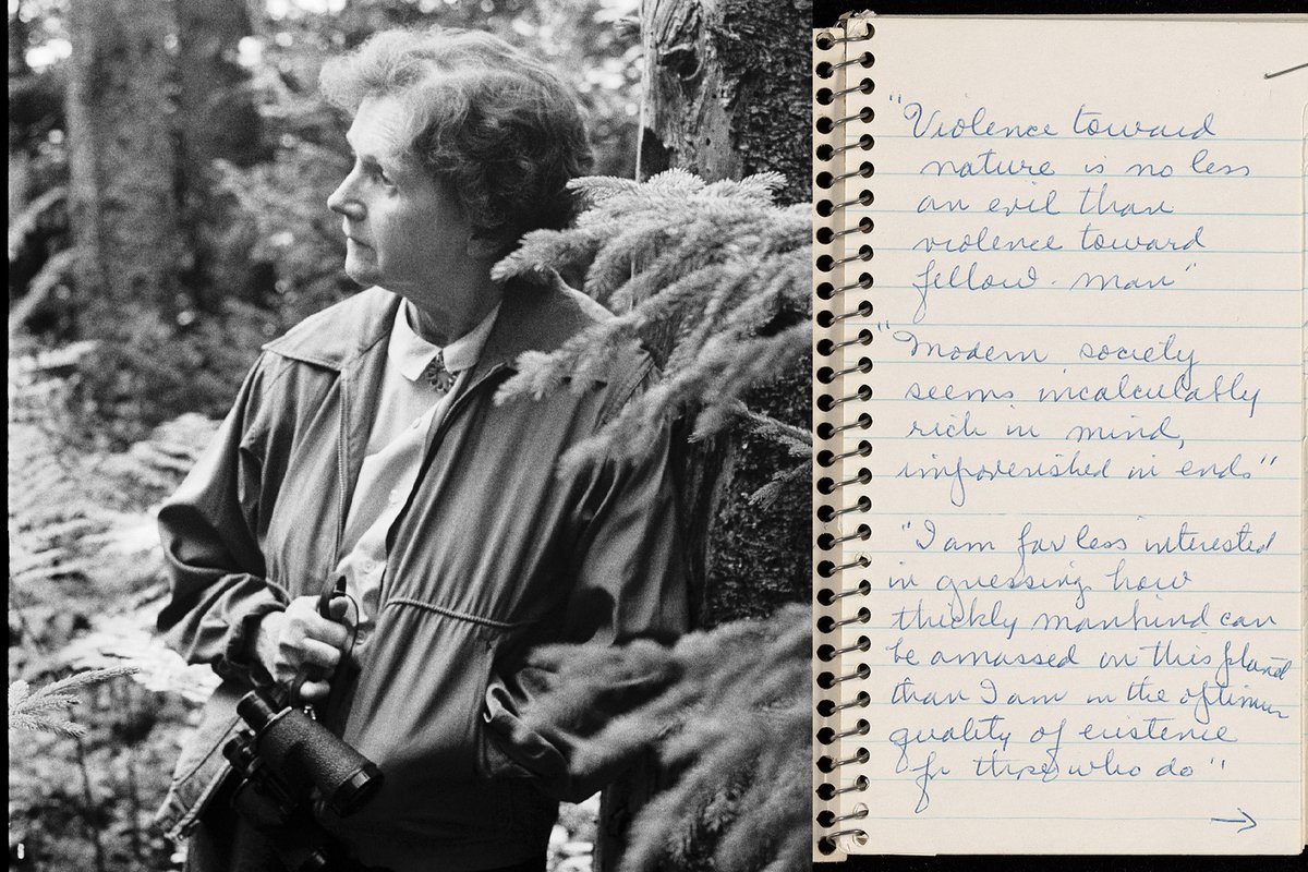 Rachel Carson with notebook