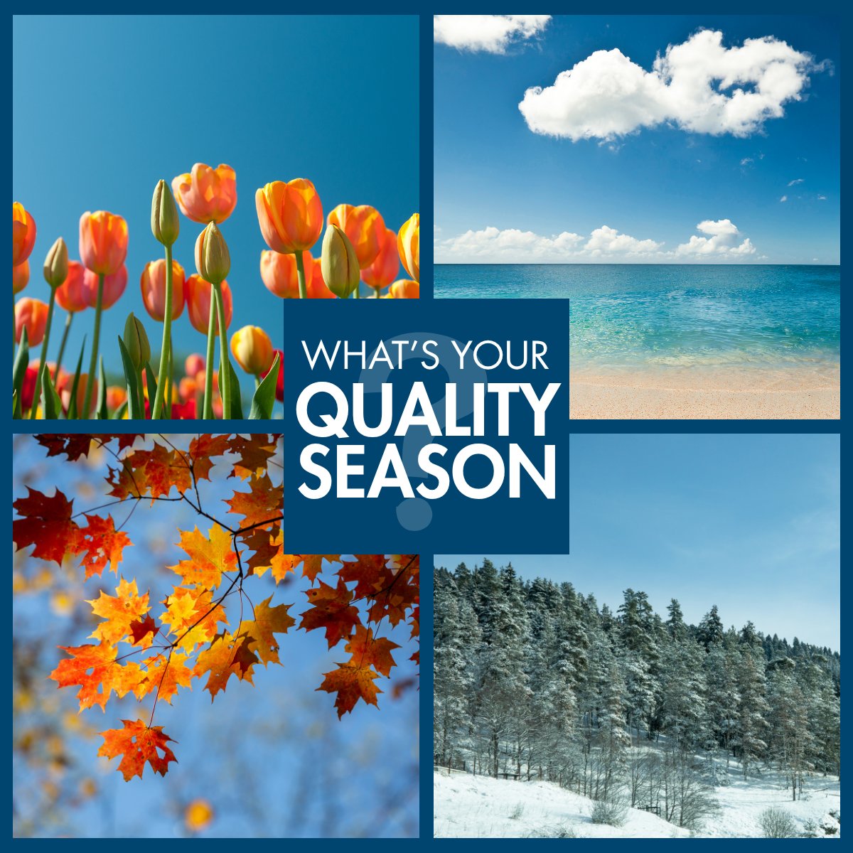 ASQ's tweet photo. If your quality efforts had a season, what would they be?

SPRING | We are building something new!
SUMMER | Things are running smoothly!
FALL | It's time for us to assess and improve!
WINTER | We are tackling challenges!

Which quality season are you in? https://t.co/g71tdddc70