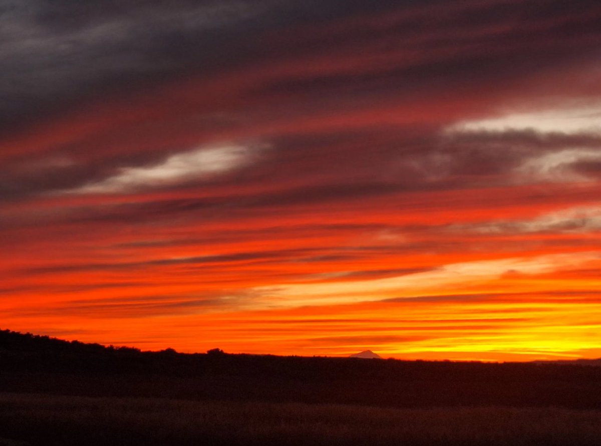 KRCR7's tweet photo. #PhotoOfTheDay: Courtney Luckett sent in this majestic sunset seen in Alturas, looking towards Mount Shasta!
Send us your photos using “Chime In” in the KRCR News Channel 7 App, or go to https://t.co/LzmAA5ahaV
#sunset #Alturas #chimein #LocalNews #News #krcr https://t.co/H6dPR9GAvM