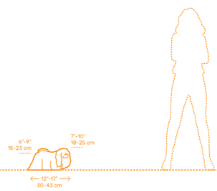 DragonRPGSocial's tweet photo. @e_fosa08 @MetaFeatsDC Baby Aragog was described as being the size of a Pekingese. Sure they grew to be a 'giant' later, but at the time they were basically the size of a camel spider.

Do you forever ban a kid from ever driving a car because they took a joyride at 13 when no harm was done? https://t.co/oY3z6CFPWW