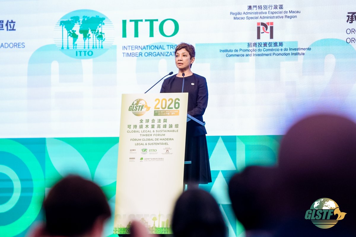 itto_sfm's tweet photo. 🪵 #GLSTF2026 is underway in Macao! 🇲🇴

From traceability and AI to value addition, finance and stronger supply-chain collaboration, Day One highlighted practical pathways from dialogue to action.

Read our Day One dispatch: https://t.co/oi0eTJuchc

#LegalAndSustainable #Timber https://t.co/dKQmDbyl0H