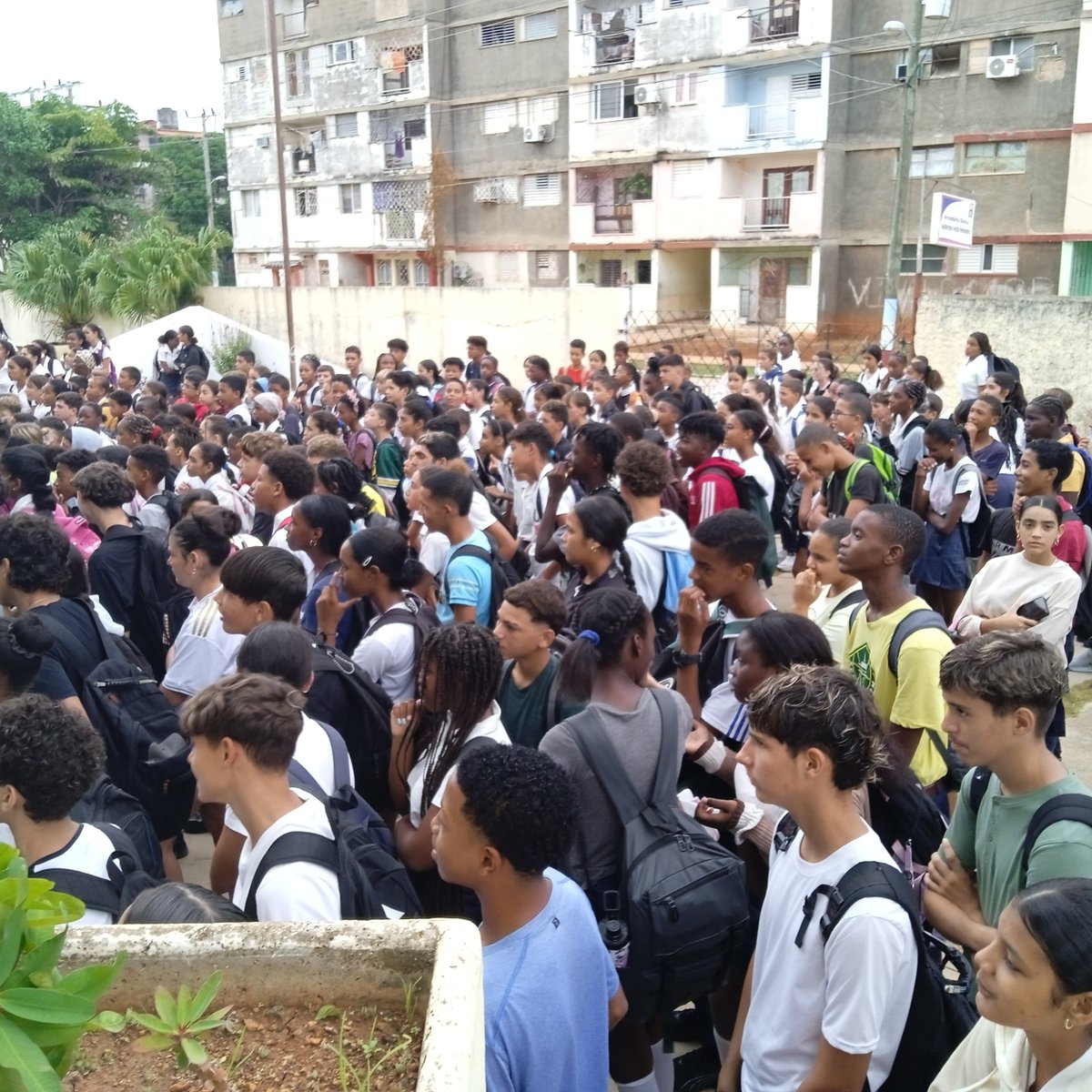 NatachaPHdez's tweet photo. Inmerso colectivo de la institución educativa Guillermo Geilin de CardenasXCuba en proceso eleccionario pioneril 
@odacuba @Berislaynne @RCBCardenas @mariofsabines @MirthaSnchezGo1 @MichelMatias21 @CaridadPoey https://t.co/eaOPt6Llj1
