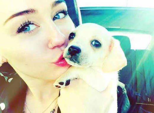 plasticdeadpetz's tweet photo. Bean appreciation post 💕 https://t.co/WZqiY2ZwF5
