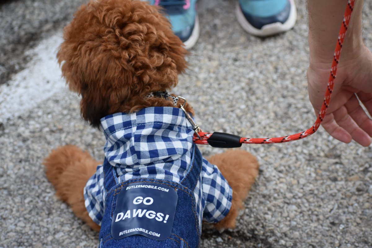 ButlerCEHD's tweet photo. 2026 Homecoming is in the books! We had such a great time seeing Butler University alumni. Check out our photo album on FB: https://t.co/TMblwo5mK4 https://t.co/t6kiAx81xL
