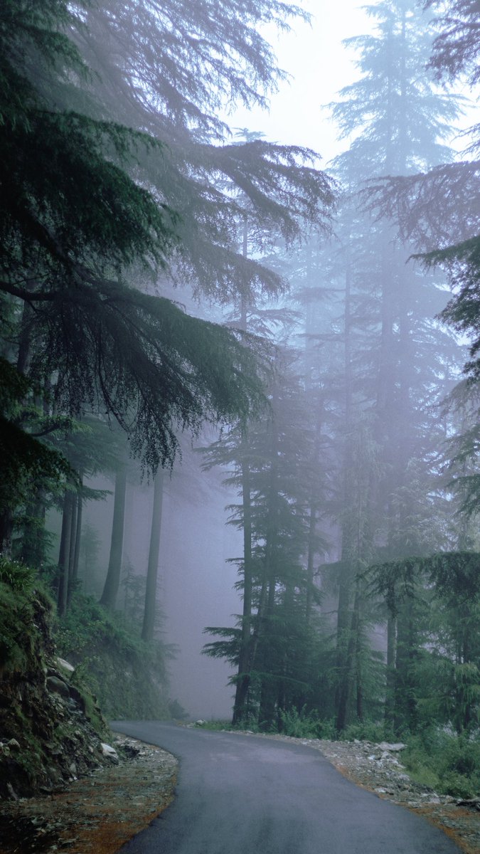 10cenjoyer's tweet photo. Probably my favorite genre of photography,this adds so much depth to a picture https://t.co/Ot8yr6m3OK