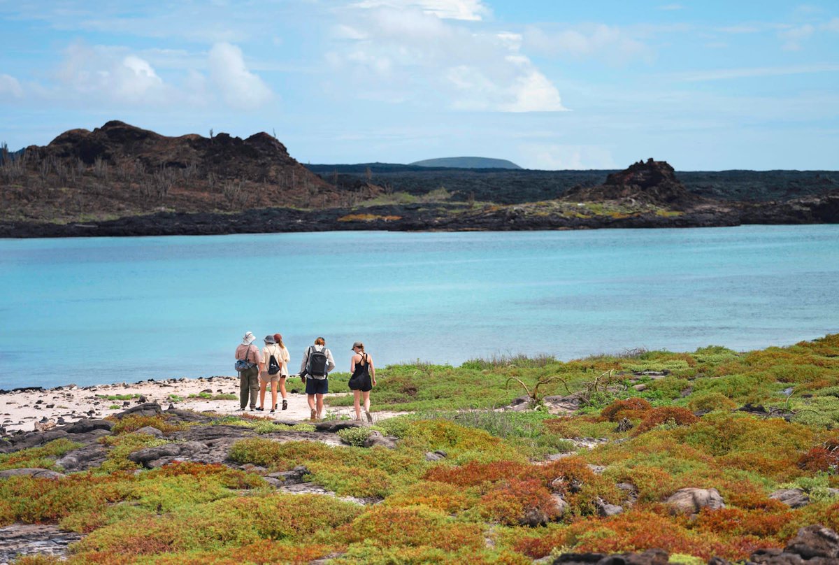 travel4bubbles's tweet photo. Drift through nature’s most extraordinary masterpiece aboard &amp;Beyond’s #Galapagos Explorer - where luxury meets wild beauty. With their Yacht Honeymoon offer, your partner enjoys 50% off their stay.
#andbeyond #honeymoontravel #luxurytravel #virtuosotravel #sovirtuoso https://t.co/xNkGYiKCH4