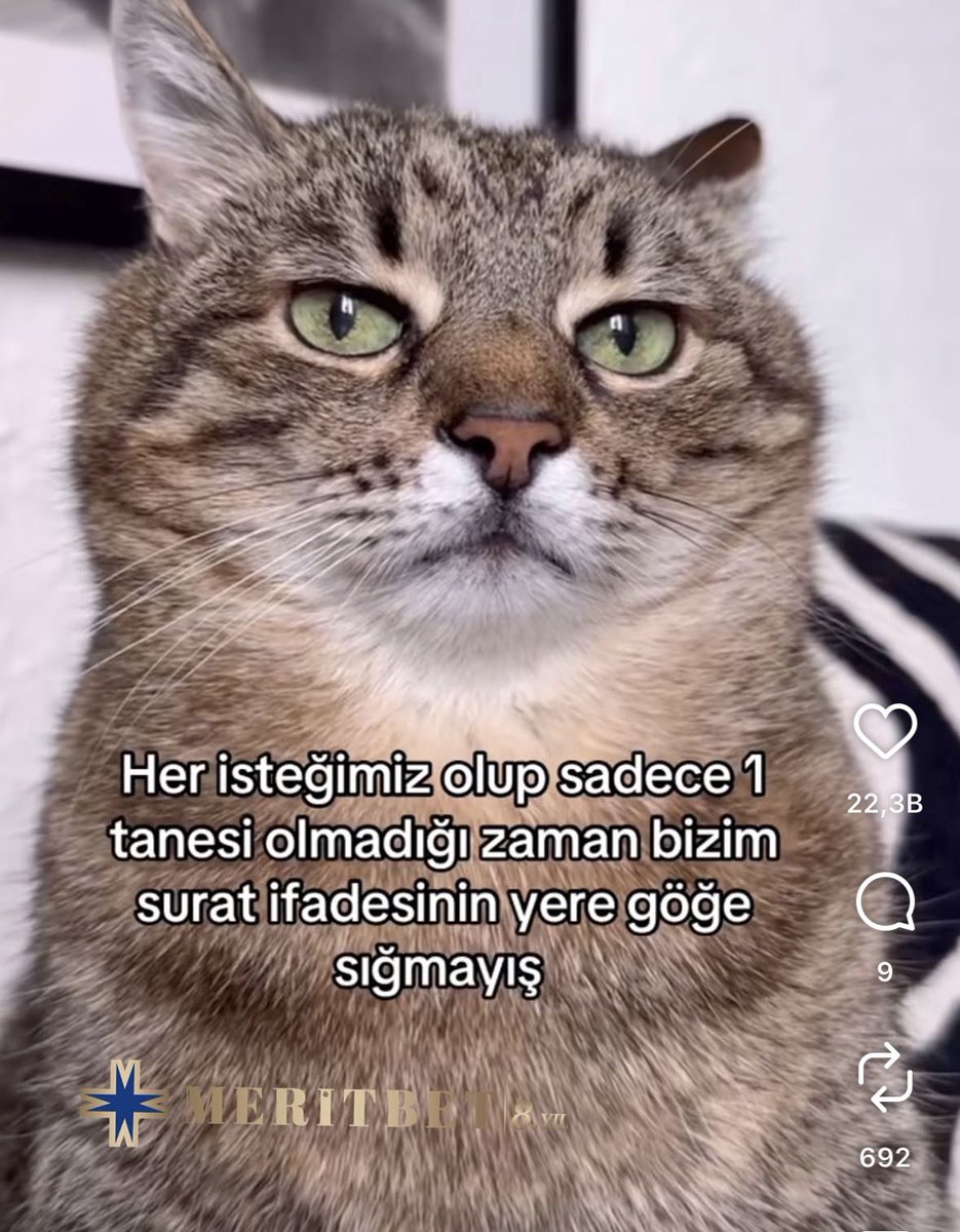 artemissionn's tweet photo. İkizler, Başak, Terazi, Yay ve Balık burcu etkililer https://t.co/ICA1tITMeO