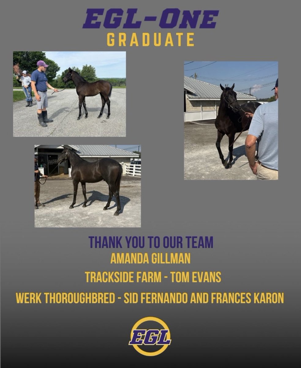 SireWatch's tweet photo. A new client joined us a few years ago to breed for the market. They have had some great successes in the ring with their first two crops of yearlings, selling one for $675k, one for a million, and now this one. They posted this. 
Congrats @EricBensussen and Larry Bensussen! https://t.co/mQyAeTcm7T