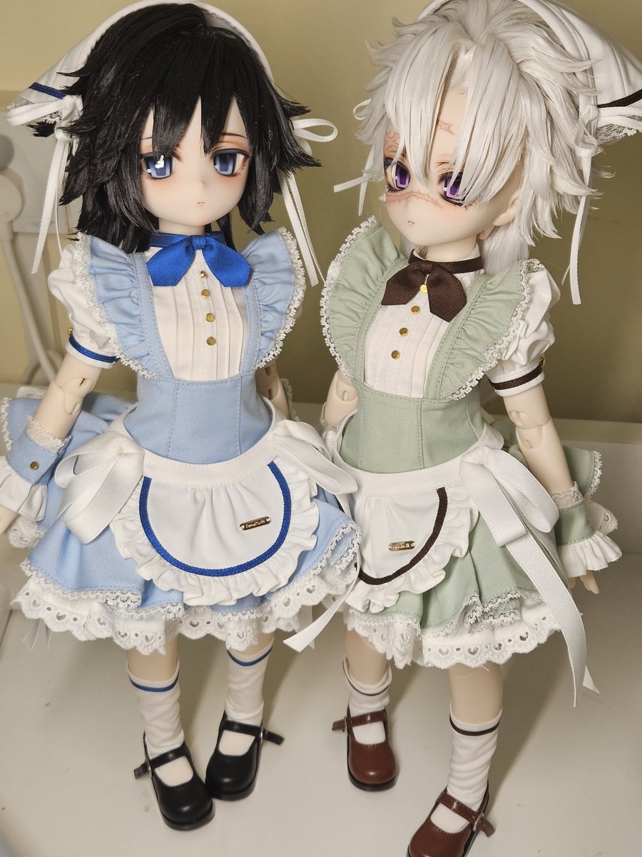 rindorumi's tweet photo. 從今天開始我要在所有sns上發🐟🐱
真的……太可愛了…！總感覺就這樣一直讓她們待在寢室裡的話會完全沒有心思學習的😭😭😭 https://t.co/FUuNp2MM2q