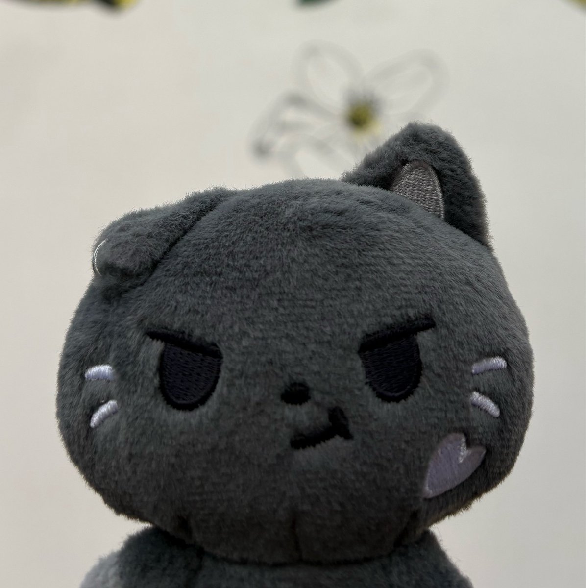 mynoxstar's tweet photo. They have the same sweet face …. :< https://t.co/iLg4ESyeEq
