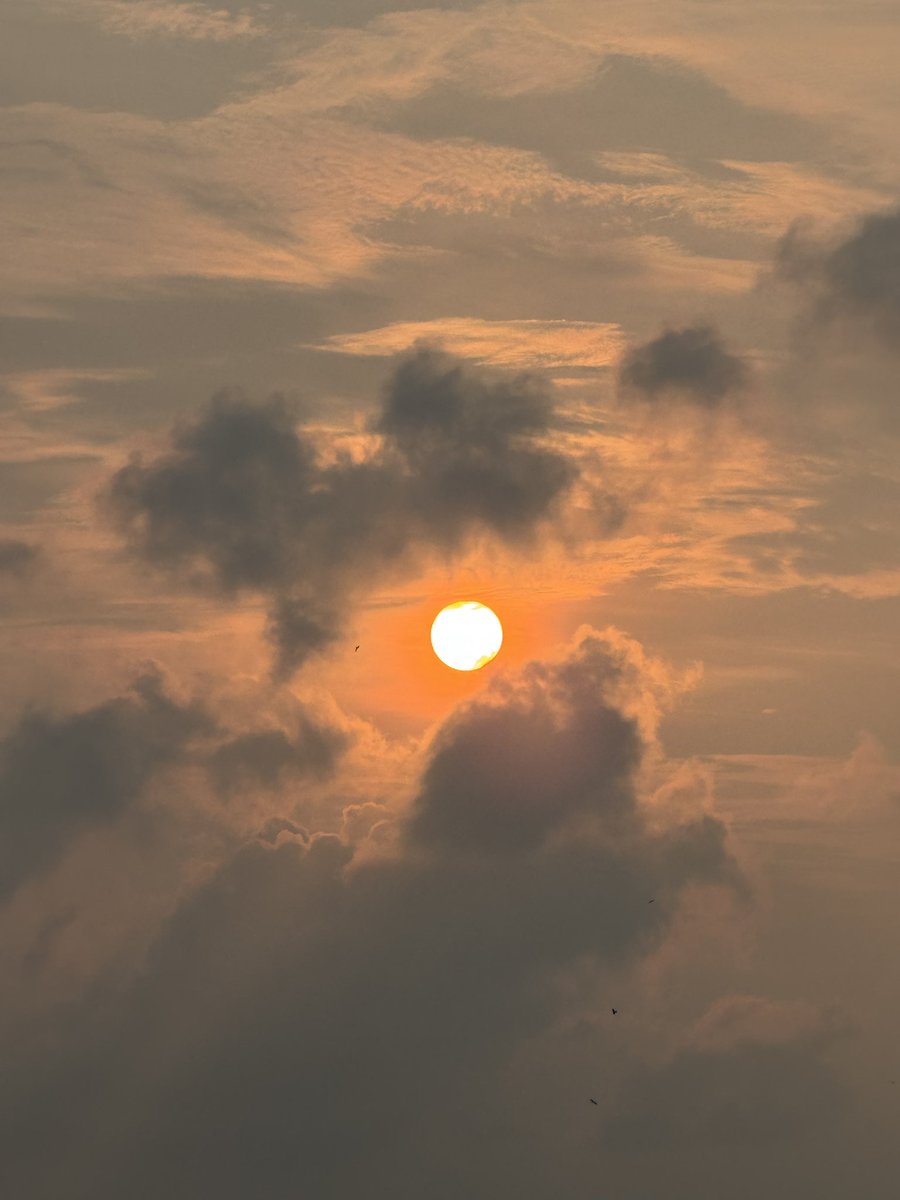 rinkyfeb's tweet photo. 📷 sky shot 🫵

#theme_pic_India_skypic https://t.co/gjQFaxnagX
