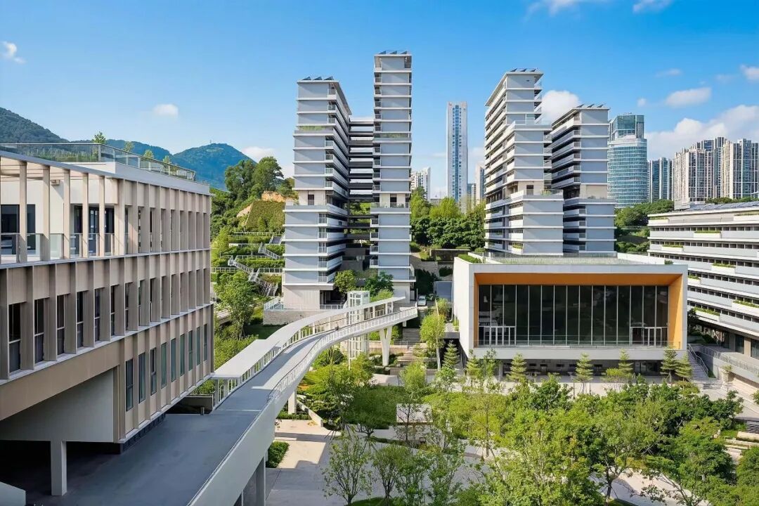 0753king's tweet photo. 天津大学香港理工大学深圳未来技术学院
学生入学后同时注册天津大学、香港理工大学两校学籍，达到毕业要求，可以拿到——
✅ 天津大学本科毕业证书
✅ 天津大学学士学位证书
✅ 香港理工大学学士学位证书
首批开设两个合办本科专业：
✅ 智能医学工程（脑机接口方向）
✅ 计算机科学与技术 https://t.co/oAIHLQjxAH