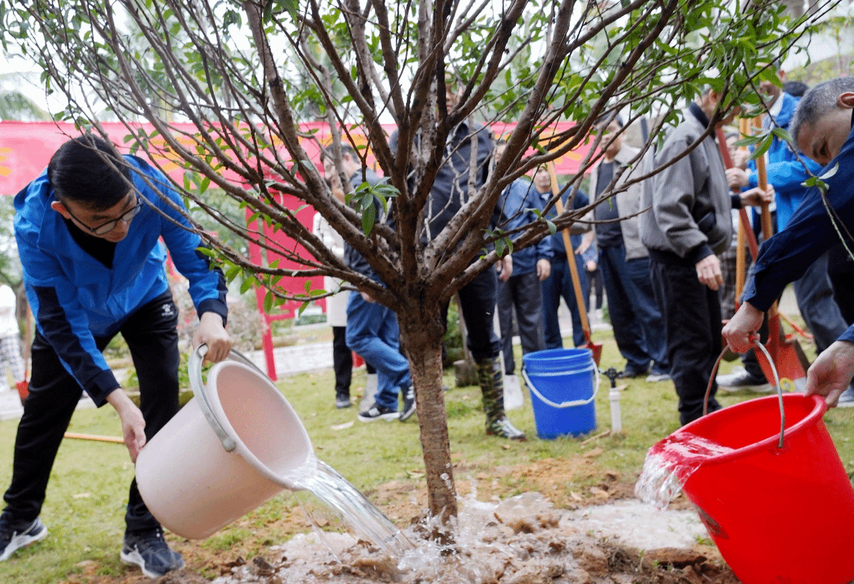 saras30irma's tweet photo. Our campus environmental club's tree-planting activity is TODAY! 50 saplings + free water bottles + fun chats. Meet at the west playground at 3 PM—come help green our campus! https://t.co/id8GiyP7vL