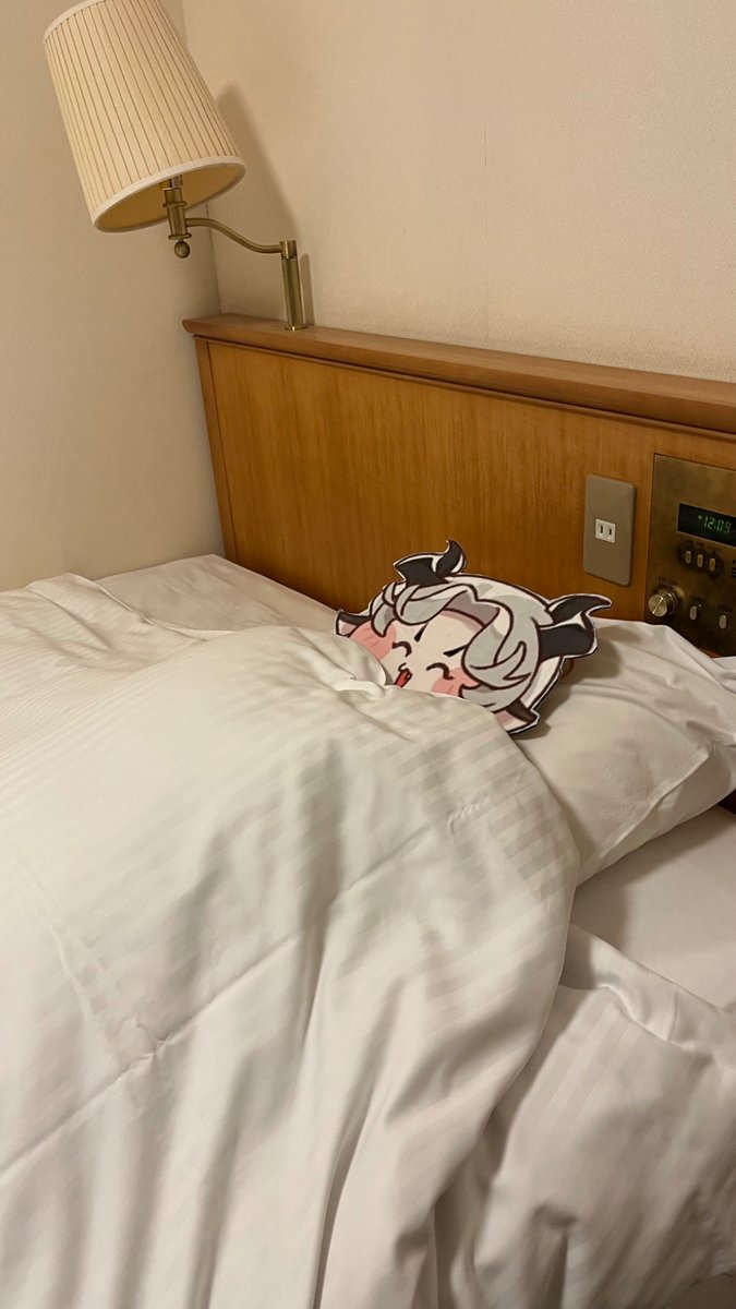 yajusn_pai's tweet photo. 部屋にヴィヴィがいる幸せ https://t.co/iouFvnyaoj